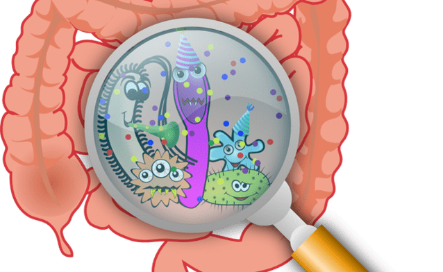 how to get rid of parasites